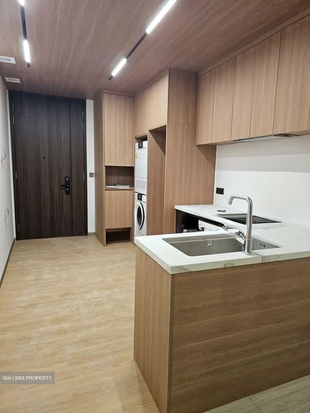 Leedon Green (D10), Condominium #587240091